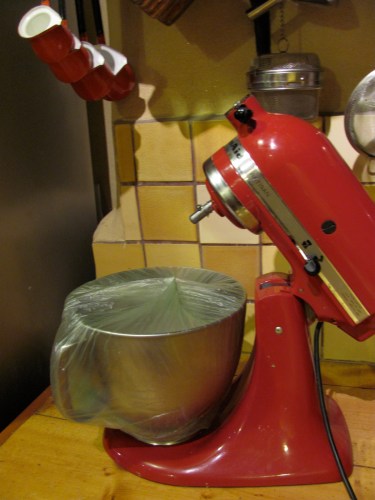 Plastic over the mixing bowl and let sit over night