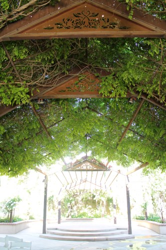 Incredible rose wisteria arbor for weddings