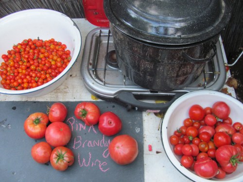 Canning on my coleman