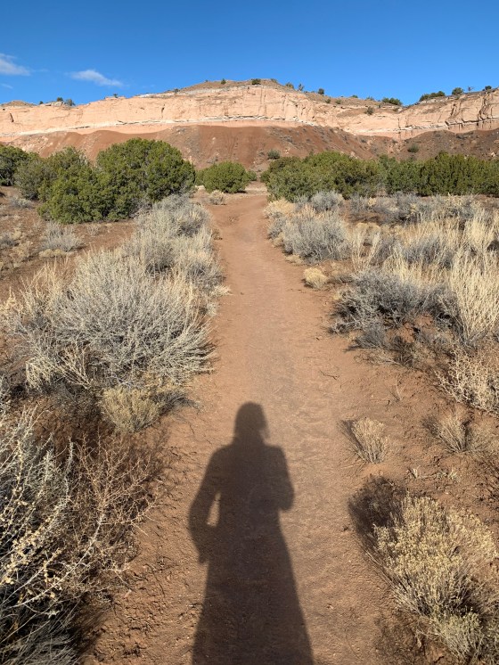 43AAA02A-D7F7-4A29-835F-596A4EC22D0D