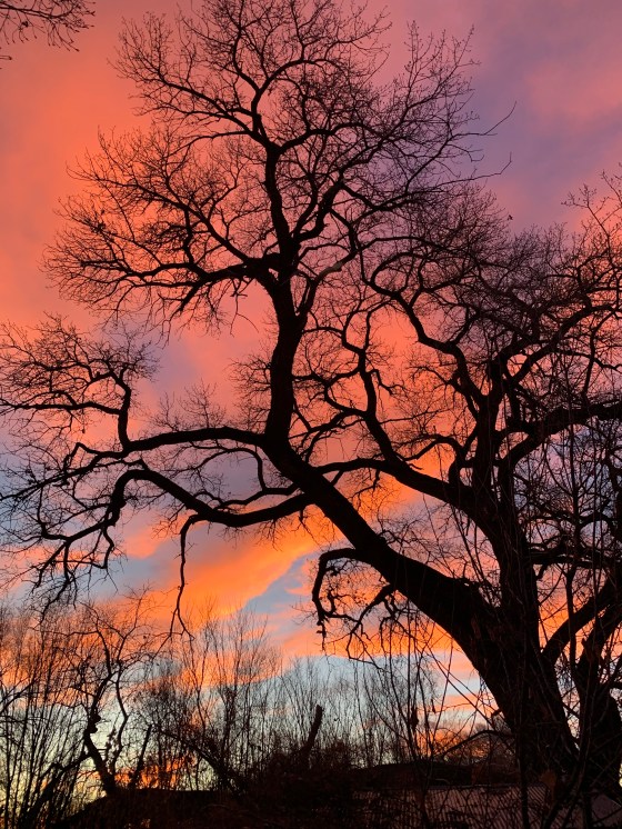 54B41A64-592A-47A4-822E-C4CC10FE4970