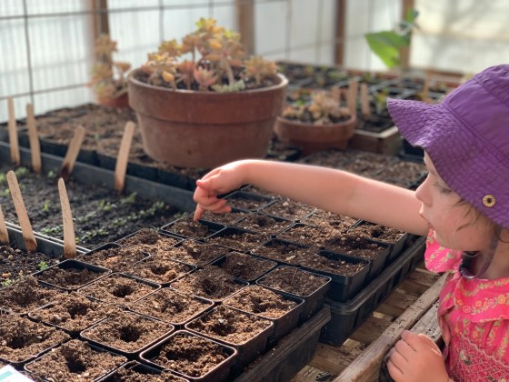 59DE1D12-98B2-43DD-843E-0CD5DA6F960C