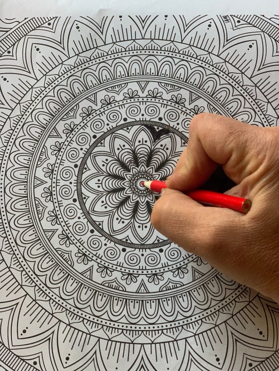 77E09C12-C284-44D6-93BB-14879D4A998E