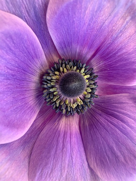 BF5E895F-6E4A-43C0-80E6-69E88A9F1498