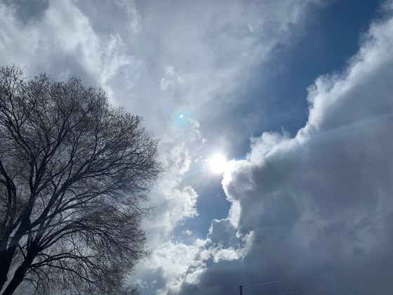 C3A3488F-29A4-47F8-A508-2E7333C38745