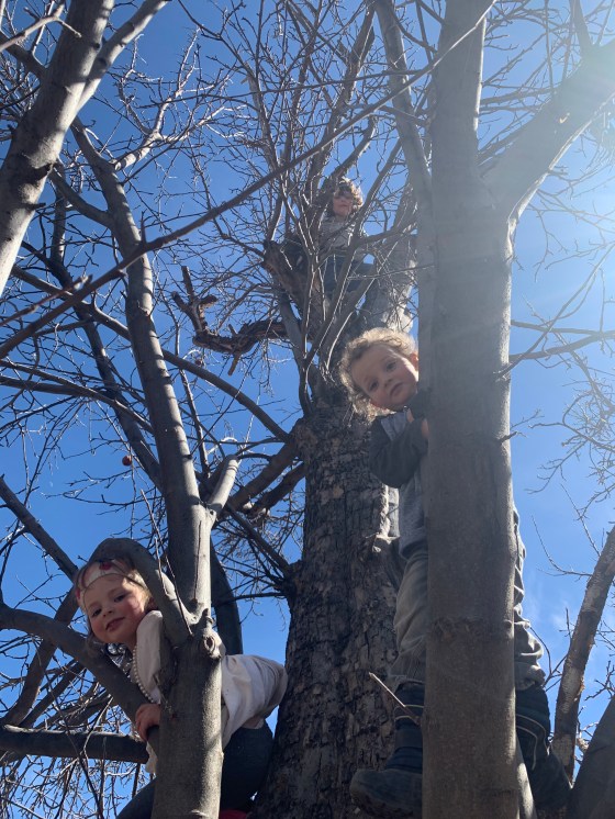 D9608503-7A89-486E-B0DD-4AEE29AEE086