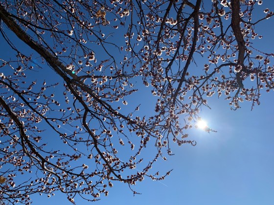 F2C64F4E-7932-4CE6-A9A5-F207B3419B9F