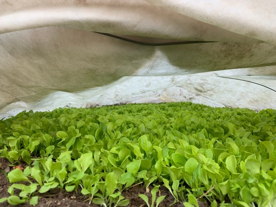 26D45477-CB87-46F8-84E0-7FCA88C6B3A6