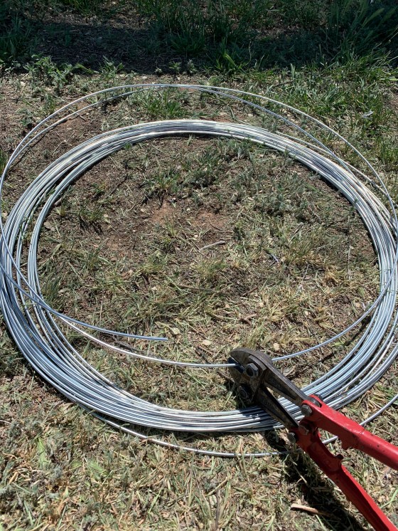 C3D775C6-6943-4815-9369-A1F768CCE8AF